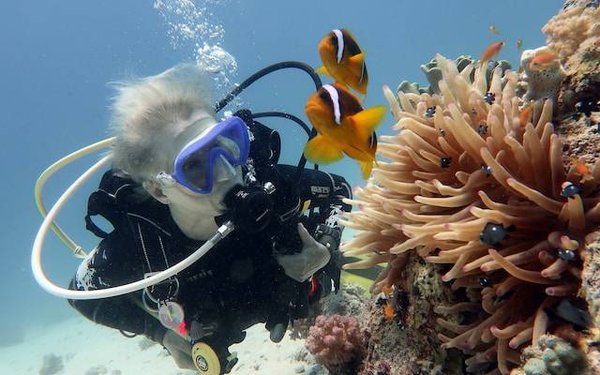 Plongée Var : Une immersion dans les merveilles de la Côte d'Azur